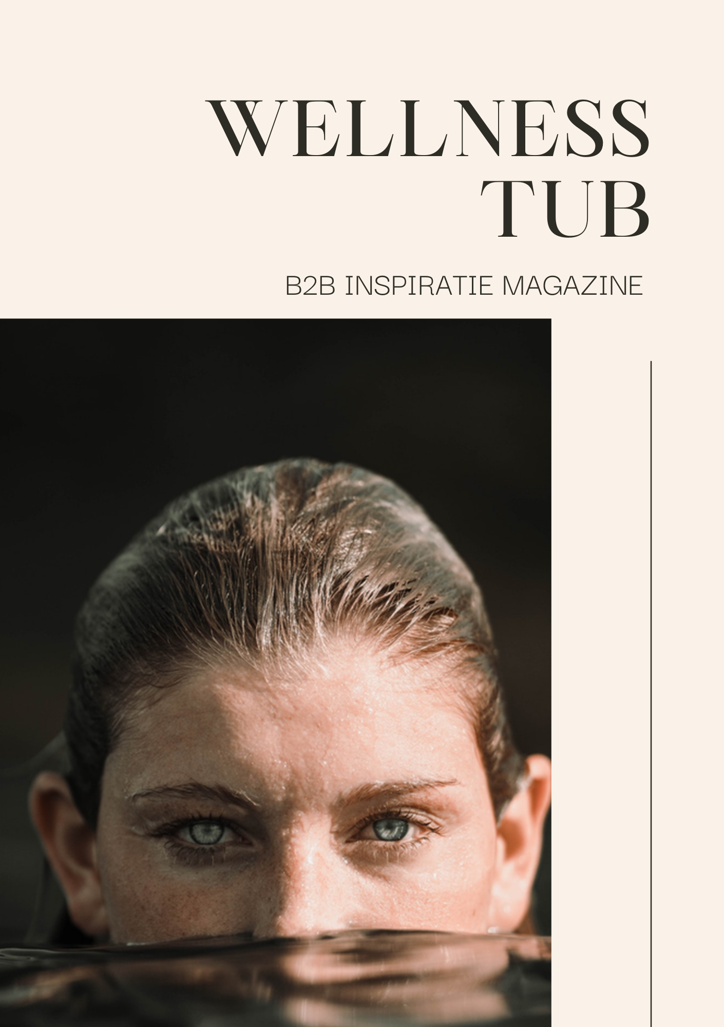 WellnessTub Brochure